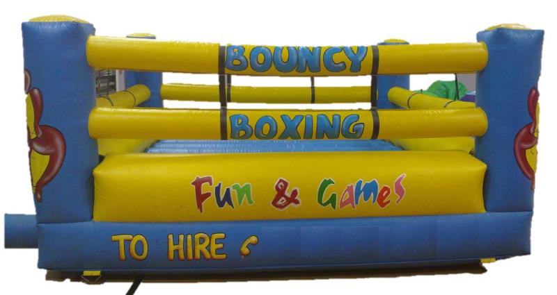 Adult Bouncy Boxing