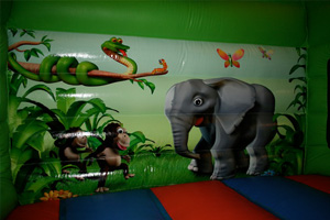 Jungle Adventure Bouncy Castle Slide