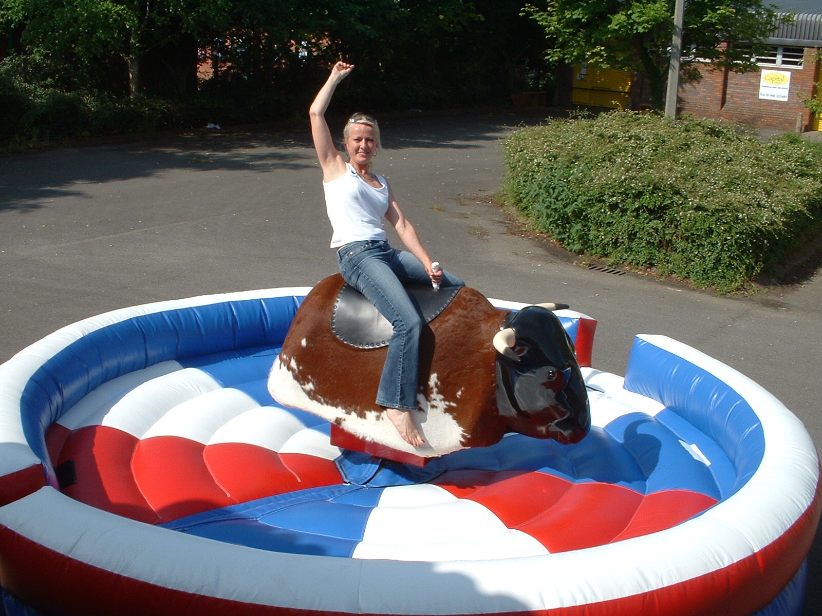 Rodeo Bull Bucking Bronco Multi Ride